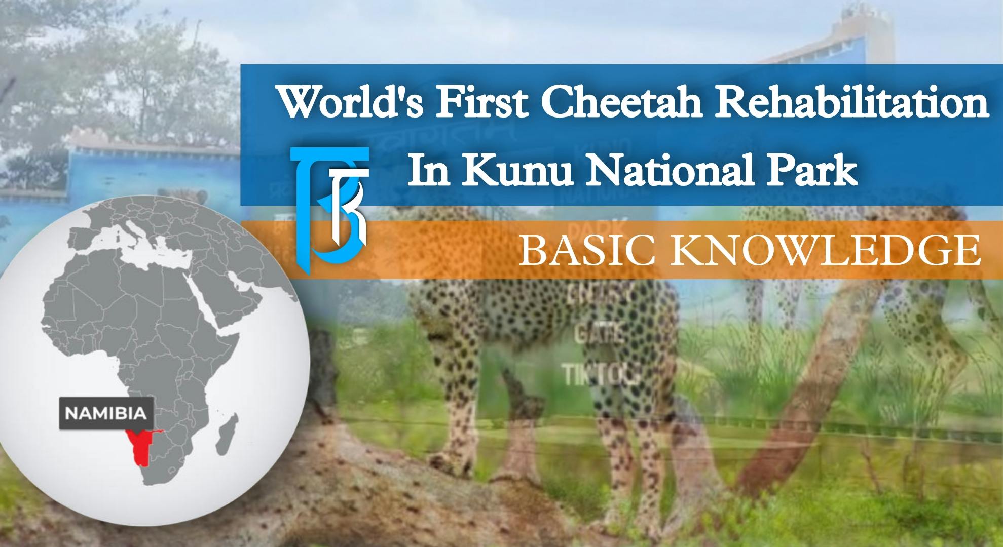 Cover Image for WORLD'S FIRST CHEETAH REHABILITATION PROJECT