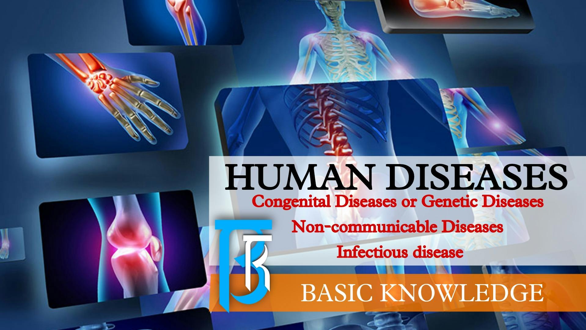 Cover Image for HUMAN DISEASES